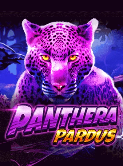 sc555